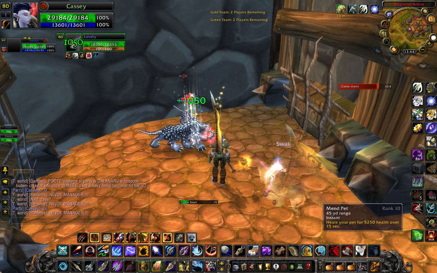 WoWScrnShot_101010_134442