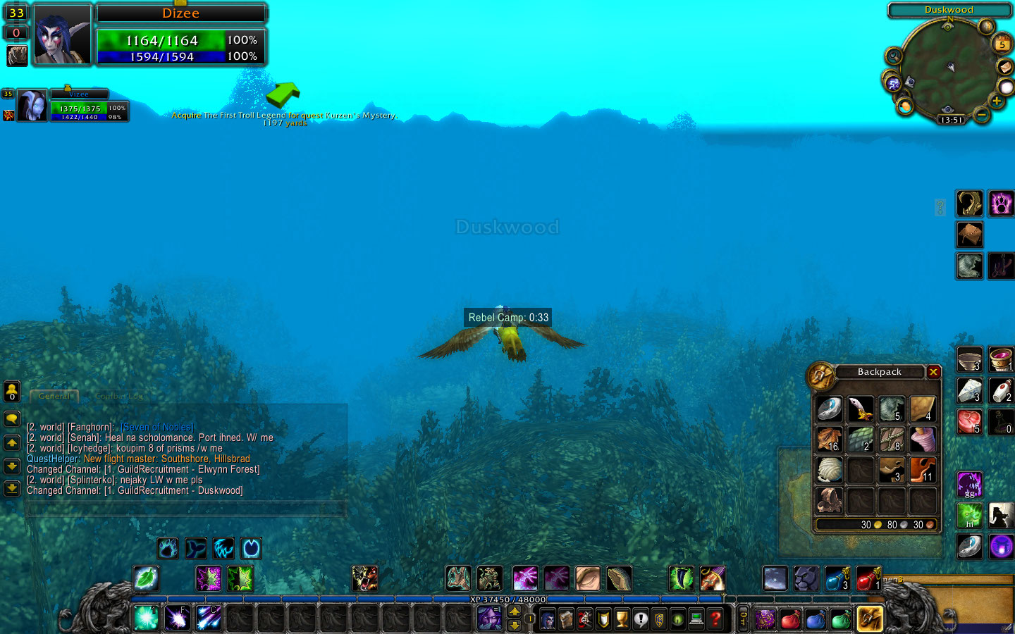WoWScrnShot_110510_135158